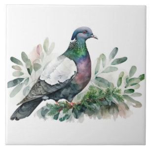 Pigeon On A Spruce Tree Tile