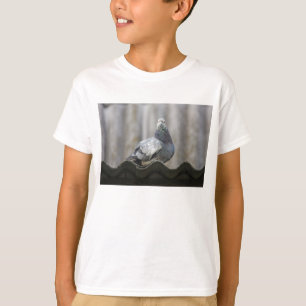 Pigeon on the roof. T-Shirt