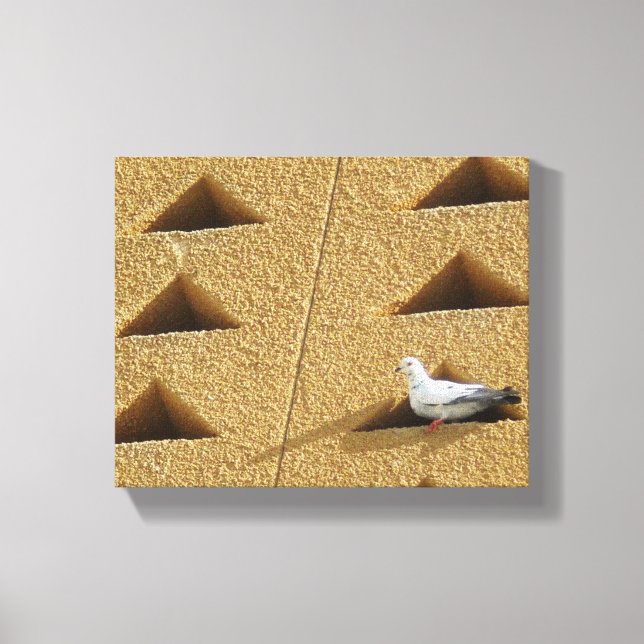 Pigeon Photo Canvas Print (Front)