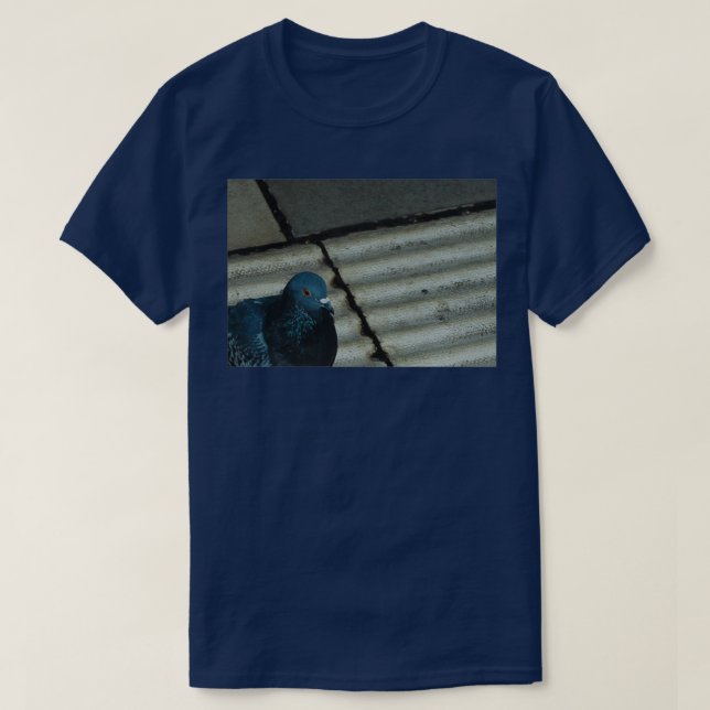 Pigeon photography 2 T-Shirt (Design Front)