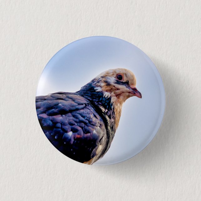 Pigeon Portrait 1 Inch Round Button (Front)