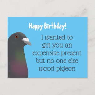 Pigeon Postcard