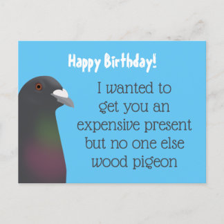 Pigeon Postcard