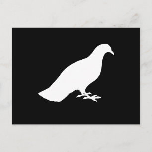 Pigeon Postcard