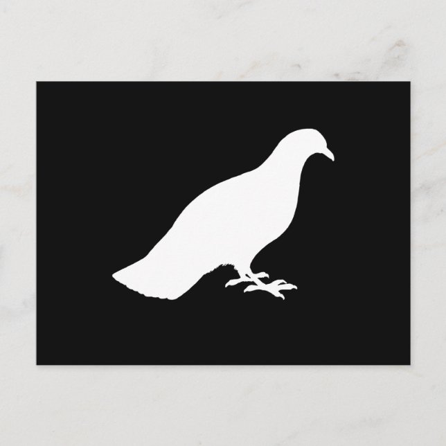 Pigeon Postcard (Front)