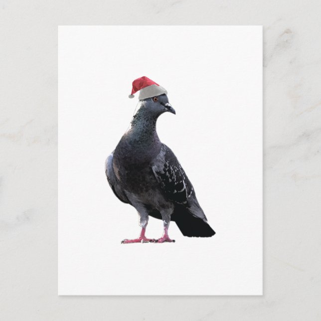 Pigeon Santa Hat Holiday Postcard (Front)