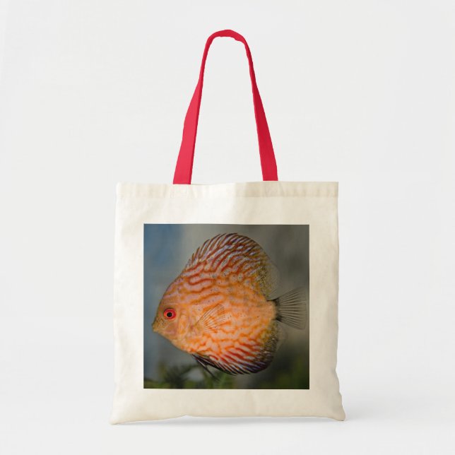 Pigeon Stone Discus Bag (Front)