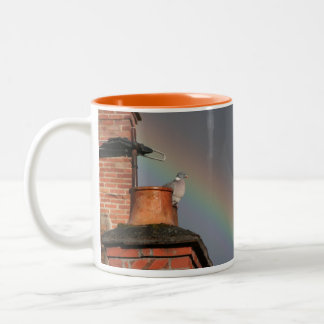 Pigeon sur le pot avec la tasse d'arc-en-ciel