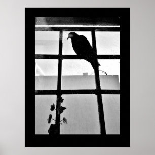 Pigeon Thoughts Poster