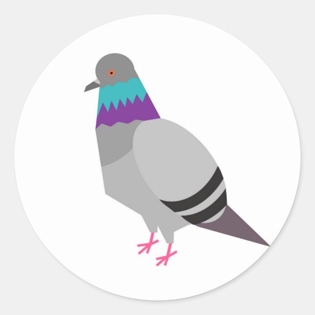 pigeon vector sticker (Front)