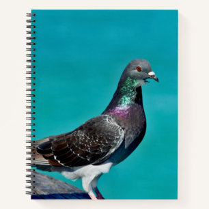 Pigeon With A View Notebook