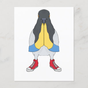 Pigeon with Shoes Flyer