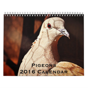Pigeons 2016 Calendar