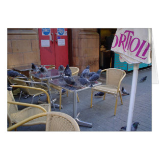 Pigeons à midi