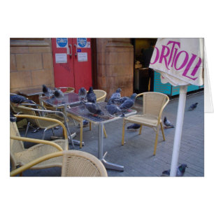 Pigeons au déjeuner
