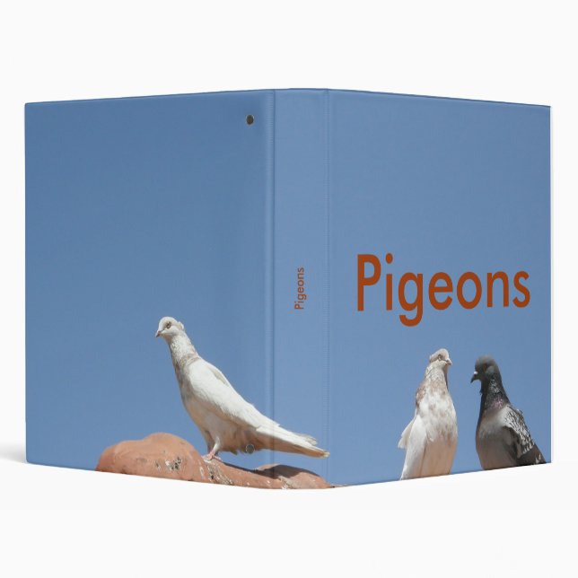 Pigeons Binder (Background)
