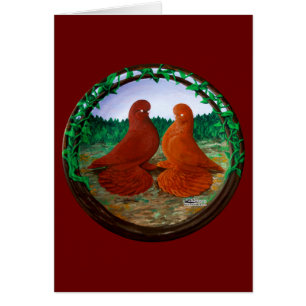 Pigeons de cordonnier bouffés2