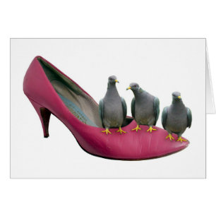 Pigeons de talon haut