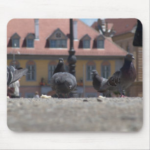 Pigeons in the City Mouse Pad