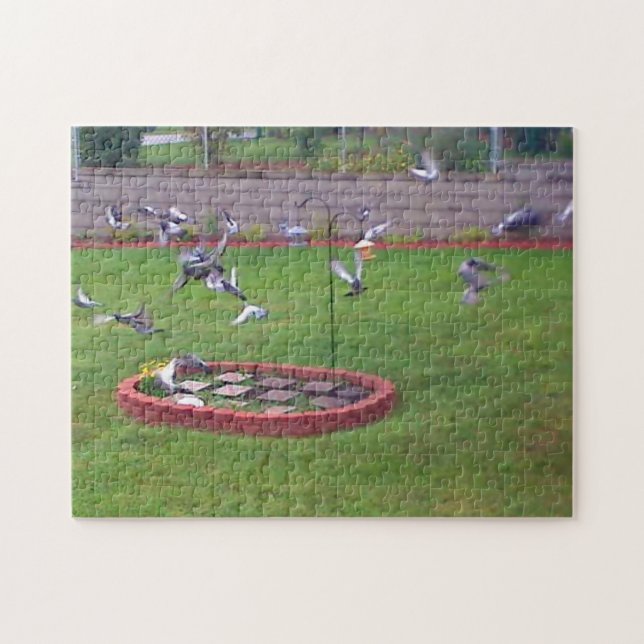 Pigeons Landing Taking Off Birds Feeder Puzzle (Horizontal)