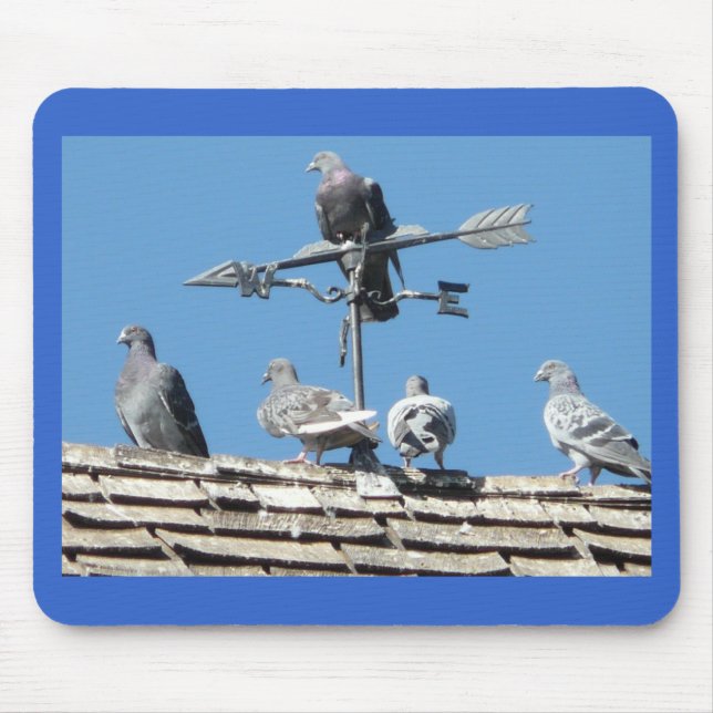 pigeons mouse pad (Front)