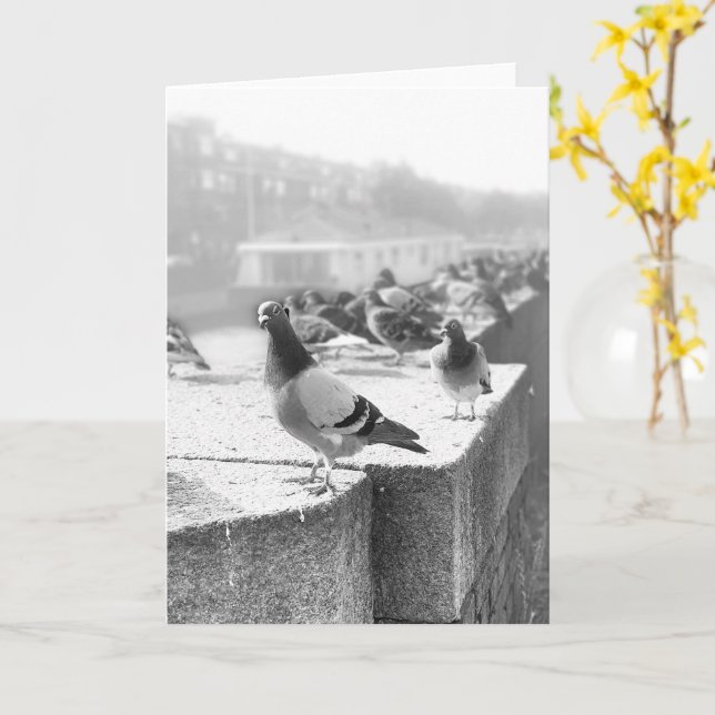 Pigeons on a Bridge Card (Yellow Flower)