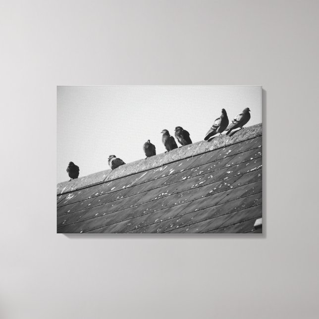 Pigeons on a Roof Canvas Print (Front)