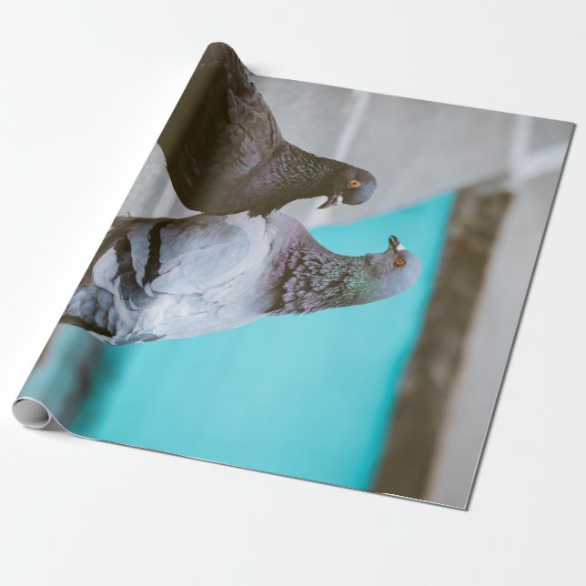 Pigeons Wrapping Paper (Unrolled)