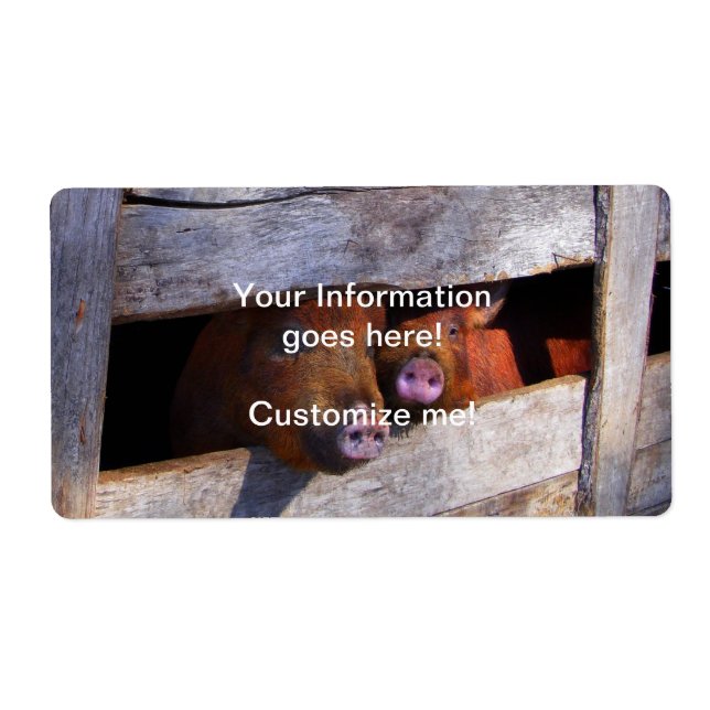 Piggies d'observation de la paire de stylo (Devant)