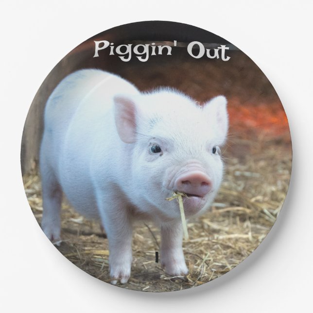 Piggin' Out Farm Life Paper Plate (Front)