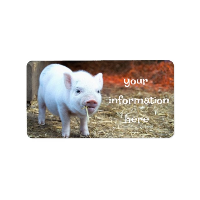 Piggin' Out Farm Life Return Address Labels (Front)