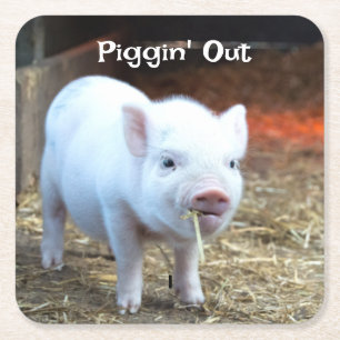 Piggin' Out Farm Life Square Paper Coaster