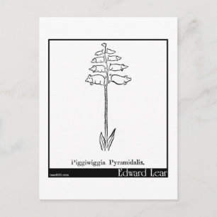 Piggiwiggia Pyramidalis. Postcard