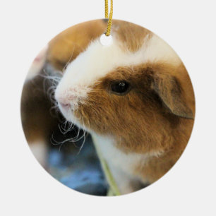 Piggy Ceramic Ornament