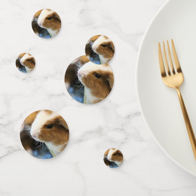 Piggy Confetti (Group)