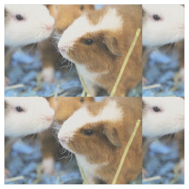 Piggy Fabric (Close Up)