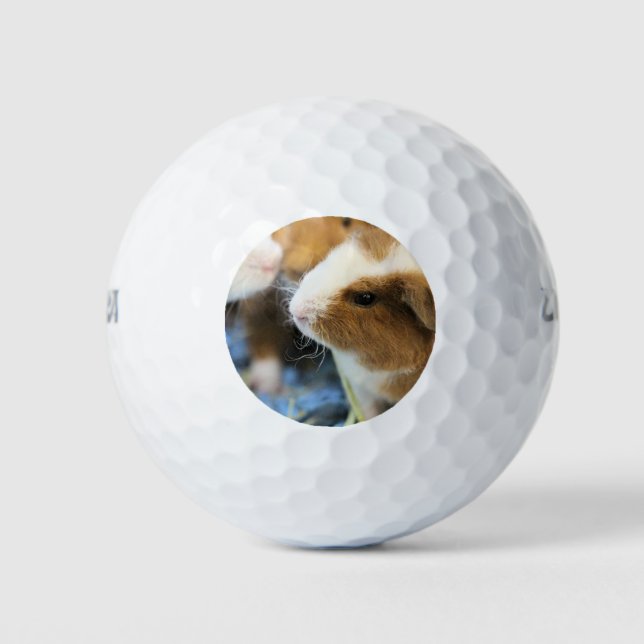 Piggy Golf Balls (Front)