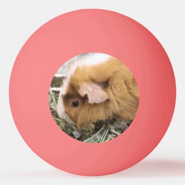 Piggy Golf Hat Clip Ping Pong Ball (Front)