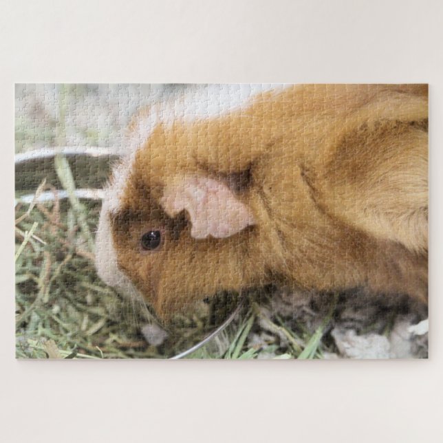 Piggy Jigsaw Puzzle (Horizontal)