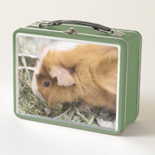 Piggy  metal lunch box