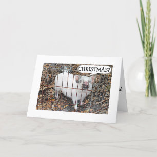 PIGGY=NOT CHRISTMAS TILL UNDER MISTLETOE WITH YOU! HOLIDAY CARD