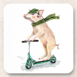 Piggy on a scooter coaster