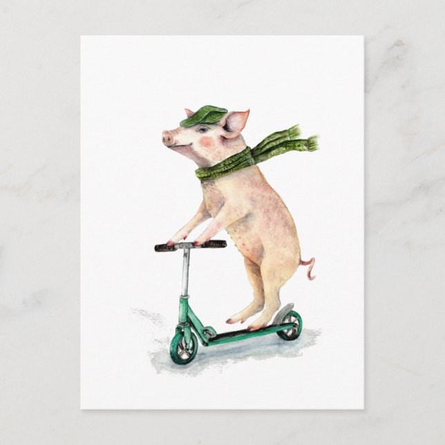Piggy on a scooter postcard (Front)
