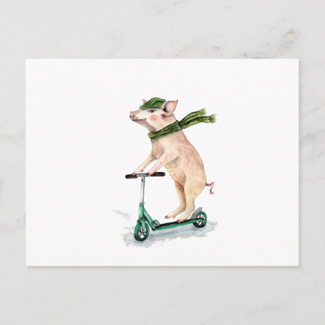 Piggy on a scooter postcard (Front)