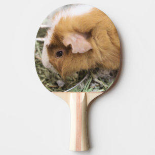 Piggy ping pong paddle