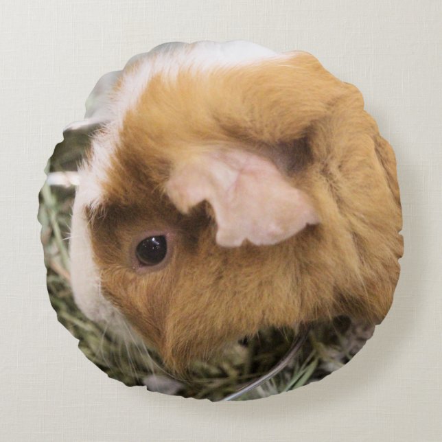 Piggy Round Pillow (Front)