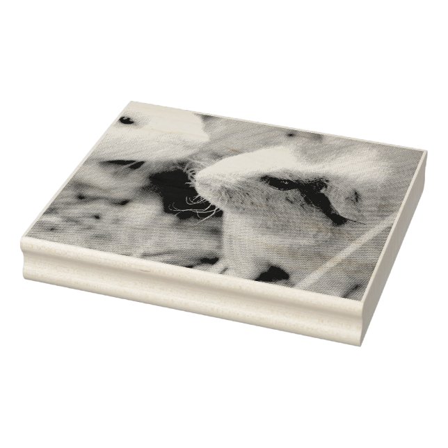 Piggy Rubber Stamp (Stamp)