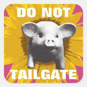 Piggy Sunflower Square Sticker