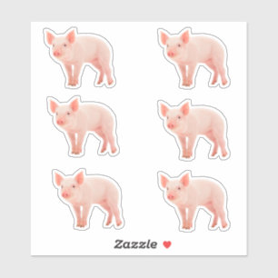 Piglet