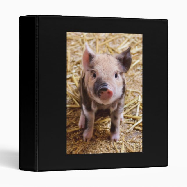 Piglet Binder (Front/Spine)